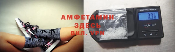 молекула духа Козельск