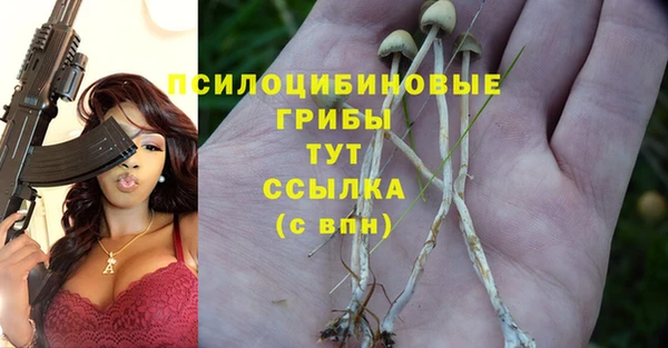 соль курить ск Кодинск