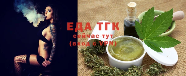 молекула духа Козельск