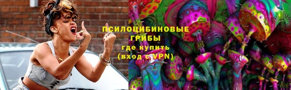молекула духа Козельск