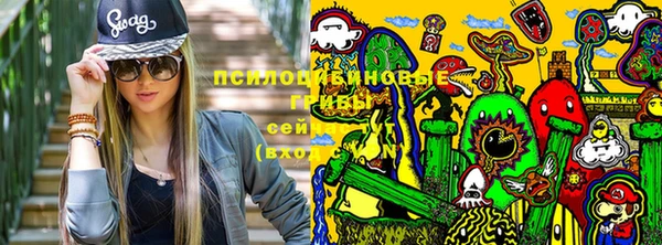 марки nbome Козловка