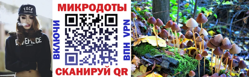 Купить где  Гусев  Псилоцибиновые грибы Magic Shrooms 